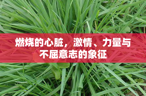 燃烧的心脏,激情、力量与不屈意志的象征 燃烧的心脏,激情、力量与不屈意志的象征