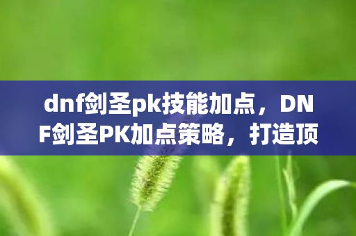dnf剑圣pk技能加点，DNF剑圣PK加点策略，打造顶尖PK角色的关键
