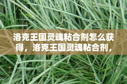 洛克王国灵魂粘合剂怎么获得,洛克王国灵魂粘合剂,探索游戏世界的奇妙连接 洛克王国灵魂粘合剂怎么获得,洛克王国灵魂粘合剂,探索游戏世界的奇妙连接