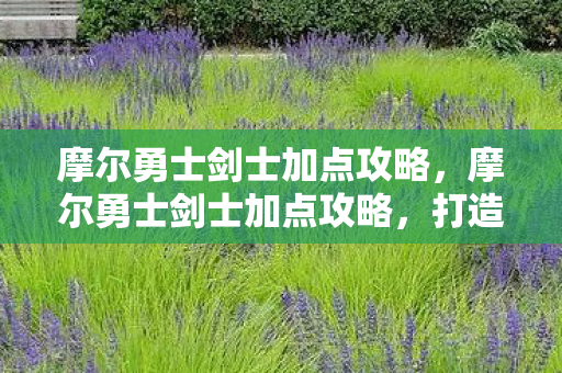 摩尔勇士剑士加点攻略,摩尔勇士剑士加点攻略,打造最强战斗力的关键 摩尔勇士剑士加点攻略,摩尔勇士剑士加点攻略,打造最强战斗力的关键