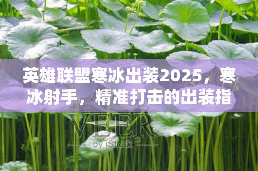 英雄联盟寒冰出装2025,寒冰射手,精准打击的出装指南 英雄联盟寒冰出装2025,寒冰射手,精准打击的出装指南