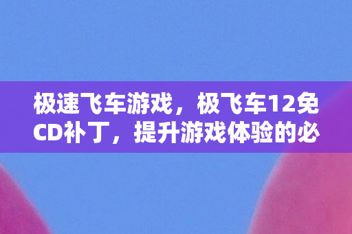极速飞车游戏,极飞车12免CD补丁,提升游戏体验的必备神器 极速飞车游戏,极飞车12免CD补丁,提升游戏体验的必备神器