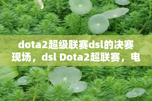 dota2超级联赛dsl的决赛现场,dsl Dota2超联赛,电竞盛宴的激情碰撞 dota2超级联赛dsl的决赛现场,dsl Dota2超联赛,电竞盛宴的激情碰撞