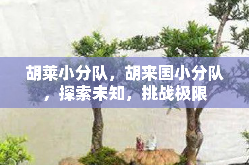 胡莱小分队,胡来国小分队,探索未知,挑战极限 胡莱小分队,胡来国小分队,探索未知,挑战极限