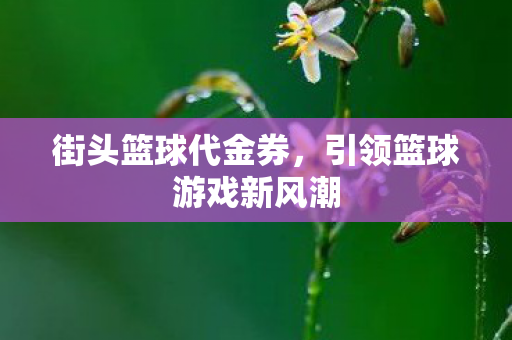 街头篮球代金券,引领篮球游戏新风潮 街头篮球代金券,引领篮球游戏新风潮