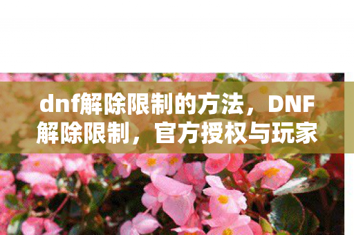 dnf解除限制的方法,DNF解除限制,官方授权与玩家权益的保障 dnf解除限制的方法,DNF解除限制,官方授权与玩家权益的保障