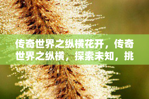 传奇世界之纵横花开,传奇世界之纵横,探索未知,挑战极限 传奇世界之纵横花开,传奇世界之纵横,探索未知,挑战极限
