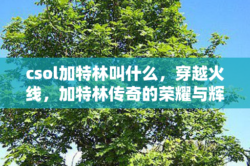 csol加特林叫什么,穿越火线,加特林传奇的荣耀与辉煌 csol加特林叫什么,穿越火线,加特林传奇的荣耀与辉煌