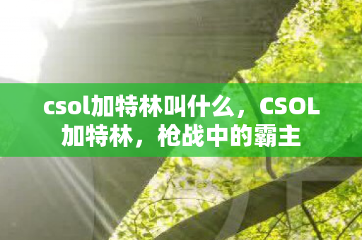 csol加特林叫什么,CSOL加特林,枪战中的霸主 csol加特林叫什么,CSOL加特林,枪战中的霸主