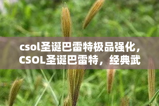 csol圣诞巴雷特极品强化,CSOL圣诞巴雷特,经典武器的节日盛宴 csol圣诞巴雷特极品强化,CSOL圣诞巴雷特,经典武器的节日盛宴