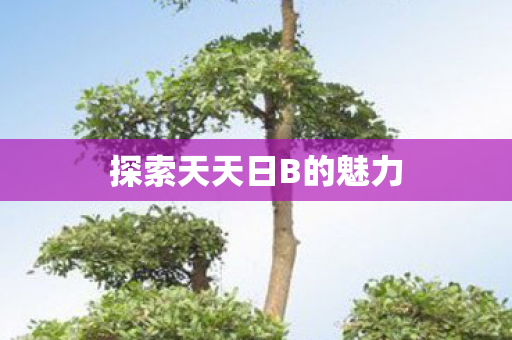 探索天天日B的魅力 探索天天日B的魅力