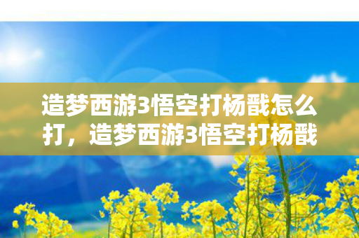 造梦西游3悟空打杨戬怎么打，造梦西游3悟空打杨戬，策略与技巧的深度剖析