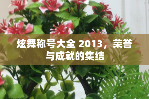 炫舞称号大全 2013,荣誉与成就的集结 炫舞称号大全 2013,荣誉与成就的集结
