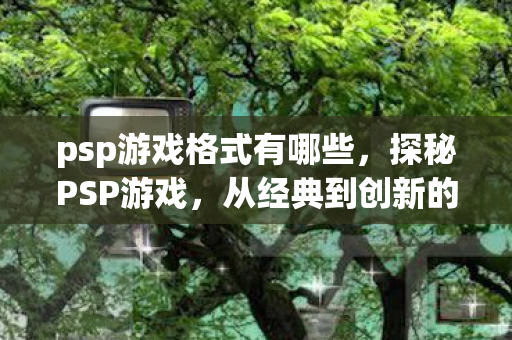 psp游戏格式有哪些，探秘PSP游戏，从经典到创新的娱乐盛宴