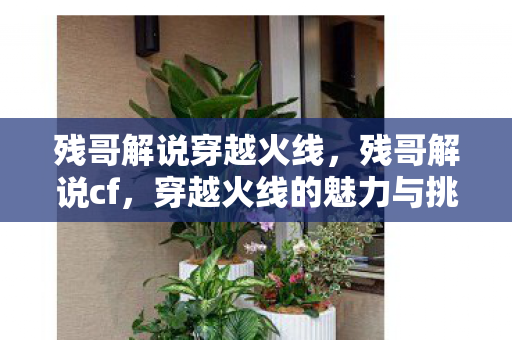 残哥解说穿越火线,残哥解说cf,穿越火线的魅力与挑战 残哥解说穿越火线,残哥解说cf,穿越火线的魅力与挑战