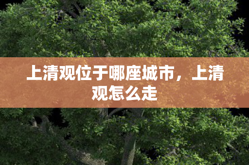 上清观位于哪座城市，上清观怎么走