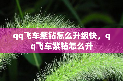 qq飞车紫钻怎么升级快，qq飞车紫钻怎么升