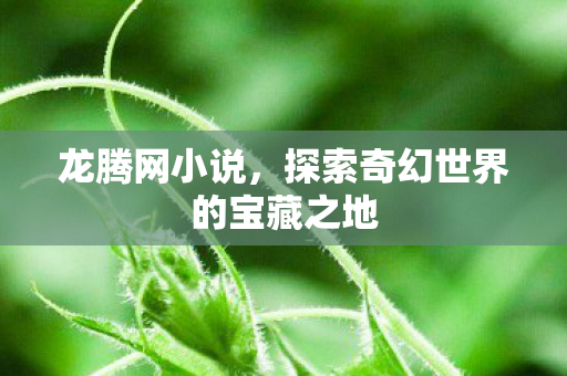 龙腾网小说,探索奇幻世界的宝藏之地 龙腾网小说,探索奇幻世界的宝藏之地