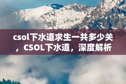 csol下水道求生一共多少关,CSOL下水道,深度解析与应对策略 csol下水道求生一共多少关,CSOL下水道,深度解析与应对策略