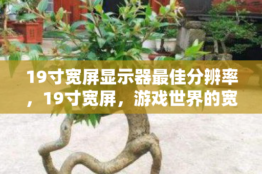 19寸宽屏显示器最佳分辨率,19寸宽屏,游戏世界的宽广视野与无限可能 19寸宽屏显示器最佳分辨率,19寸宽屏,游戏世界的宽广视野与无限可能