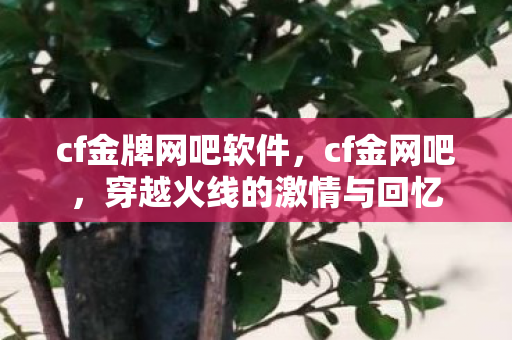 cf金牌网吧软件,cf金网吧,穿越火线的激情与回忆 cf金牌网吧软件,cf金网吧,穿越火线的激情与回忆