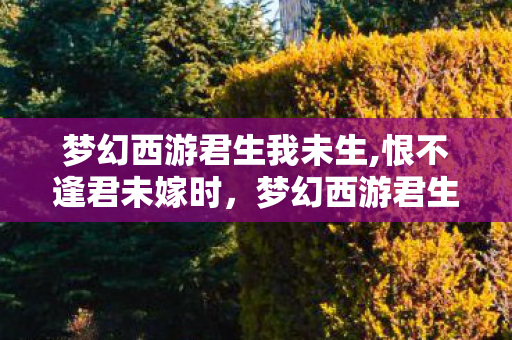 梦幻西游君生我未生,恨不逢君未嫁时,梦幻西游君生我未生 梦幻西游君生我未生,恨不逢君未嫁时,梦幻西游君生我未生