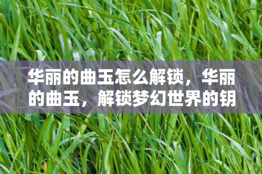 华丽的曲玉怎么解锁,华丽的曲玉,解锁梦幻世界的钥匙 华丽的曲玉怎么解锁,华丽的曲玉,解锁梦幻世界的钥匙
