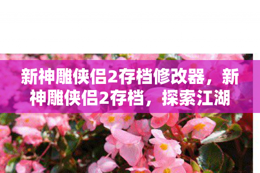 新神雕侠侣2存档修改器，新神雕侠侣2存档，探索江湖新篇章