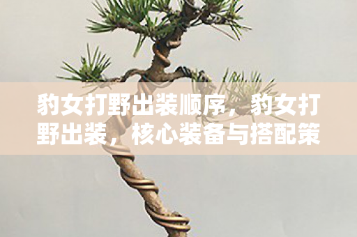 豹女打野出装顺序,豹女打野出装,核心装备与搭配策略 豹女打野出装顺序,豹女打野出装,核心装备与搭配策略