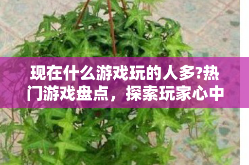 现在什么游戏玩的人多?热门游戏盘点,探索玩家心中的王者 现在什么游戏玩的人多?热门游戏盘点,探索玩家心中的王者