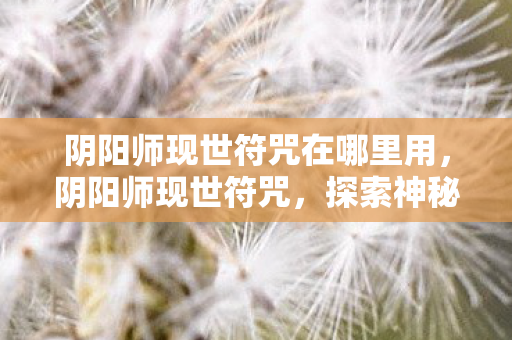 阴阳师现世符咒在哪里用,阴阳师现世符咒,探索神秘世界的钥匙 阴阳师现世符咒在哪里用,阴阳师现世符咒,探索神秘世界的钥匙