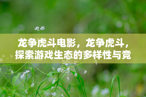 龙争虎斗电影，龙争虎斗，探索游戏生态的多样性与竞争之美