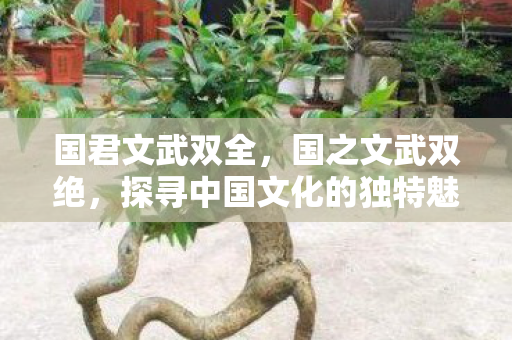 国君文武双全,国之文武双绝,探寻中国文化的独特魅力 国君文武双全,国之文武双绝,探寻中国文化的独特魅力