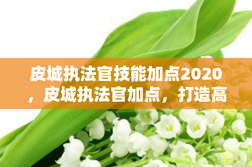 皮城执法官技能加点2020,皮城执法官加点,打造高效战斗力的关键 皮城执法官技能加点2020,皮城执法官加点,打造高效战斗力的关键