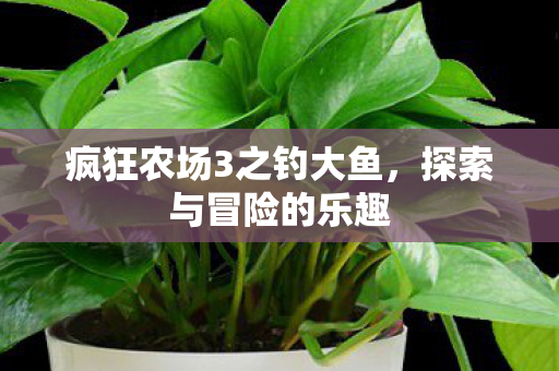 疯狂农场3之钓大鱼，探索与冒险的乐趣