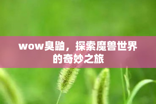 wow臭鼬,探索魔兽世界的奇妙之旅 wow臭鼬,探索魔兽世界的奇妙之旅