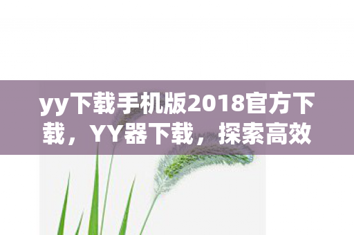 yy下载手机版2018官方下载，YY器下载，探索高效工具背后的秘密