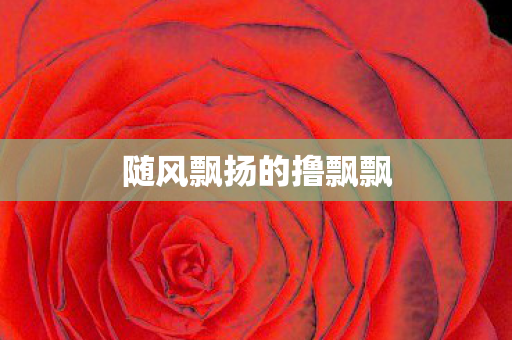 随风飘扬的撸飘飘