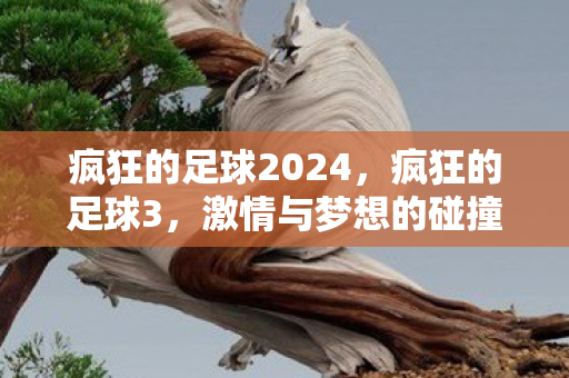 疯狂的足球2024,疯狂的足球3,激情与梦想的碰撞 疯狂的足球2024,疯狂的足球3,激情与梦想的碰撞