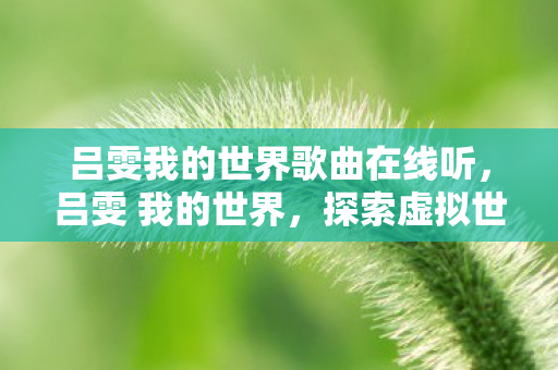 吕雯我的世界歌曲在线听，吕雯 我的世界，探索虚拟世界的无限可能