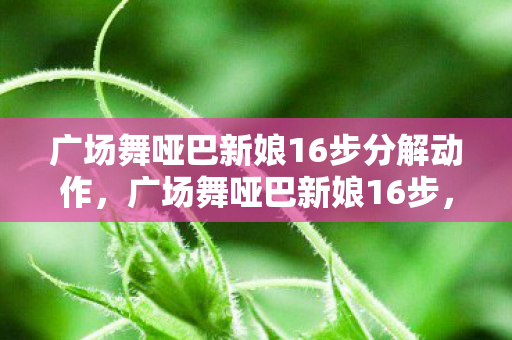 广场舞哑巴新娘16步分解动作，广场舞哑巴新娘16步，舞动生活的旋律