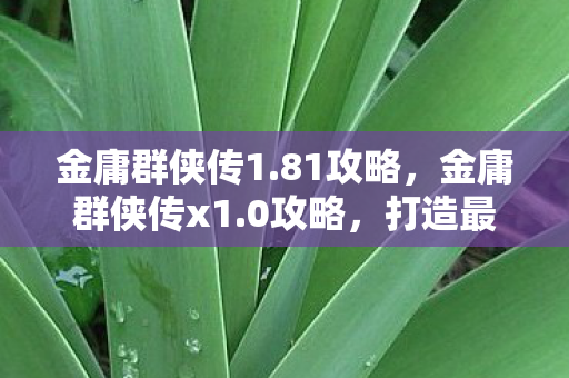 金庸群侠传1.81攻略，金庸群侠传x1.0攻略，打造最强角色，畅游武侠世界
