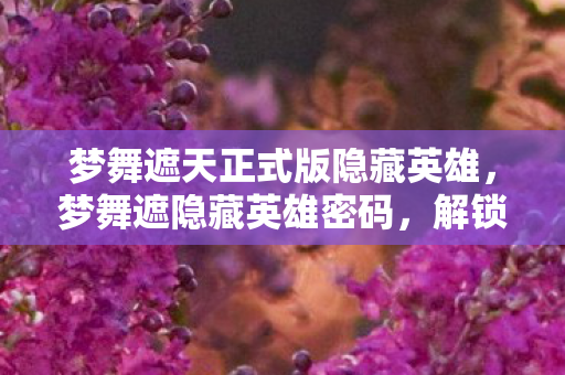 梦舞遮天正式版隐藏英雄，梦舞遮隐藏英雄密码，解锁未知世界的神秘钥匙