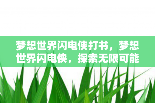 梦想世界闪电侠打书，梦想世界闪电侠，探索无限可能的虚拟冒险