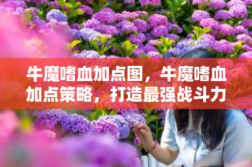 牛魔嗜血加点图，牛魔嗜血加点策略，打造最强战斗力的关键