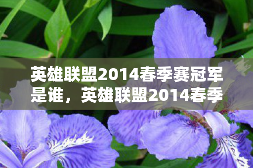英雄联盟2014春季赛冠军是谁,英雄联盟2014春季赛,电竞盛宴的激情与荣耀 英雄联盟2014春季赛冠军是谁,英雄联盟2014春季赛,电竞盛宴的激情与荣耀