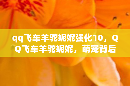 qq飞车羊驼妮妮强化10，QQ飞车羊驼妮妮，萌宠背后的故事与游戏乐趣