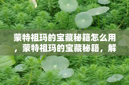 蒙特祖玛的宝藏秘籍怎么用，蒙特祖玛的宝藏秘籍，解锁无尽宝藏的终极指南