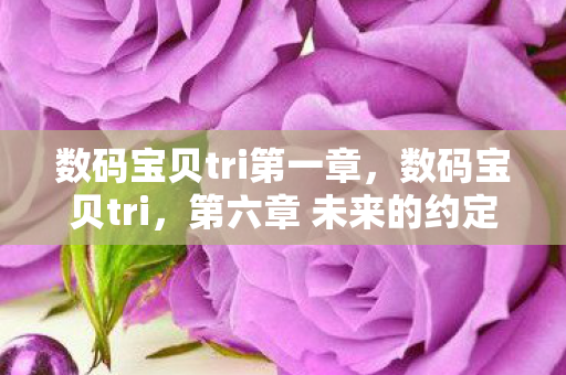 数码宝贝tri第一章,数码宝贝tri,第六章 未来的约定 数码宝贝tri第一章,数码宝贝tri,第六章 未来的约定