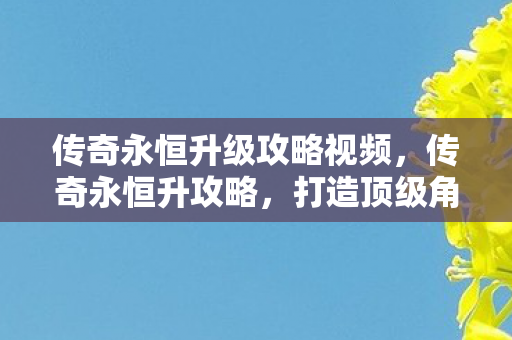 传奇永恒升级攻略视频,传奇永恒升攻略,打造顶级角色的全面指南 传奇永恒升级攻略视频,传奇永恒升攻略,打造顶级角色的全面指南
